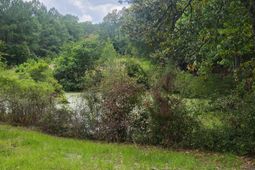 126 Rattlensnake Trail photo 4