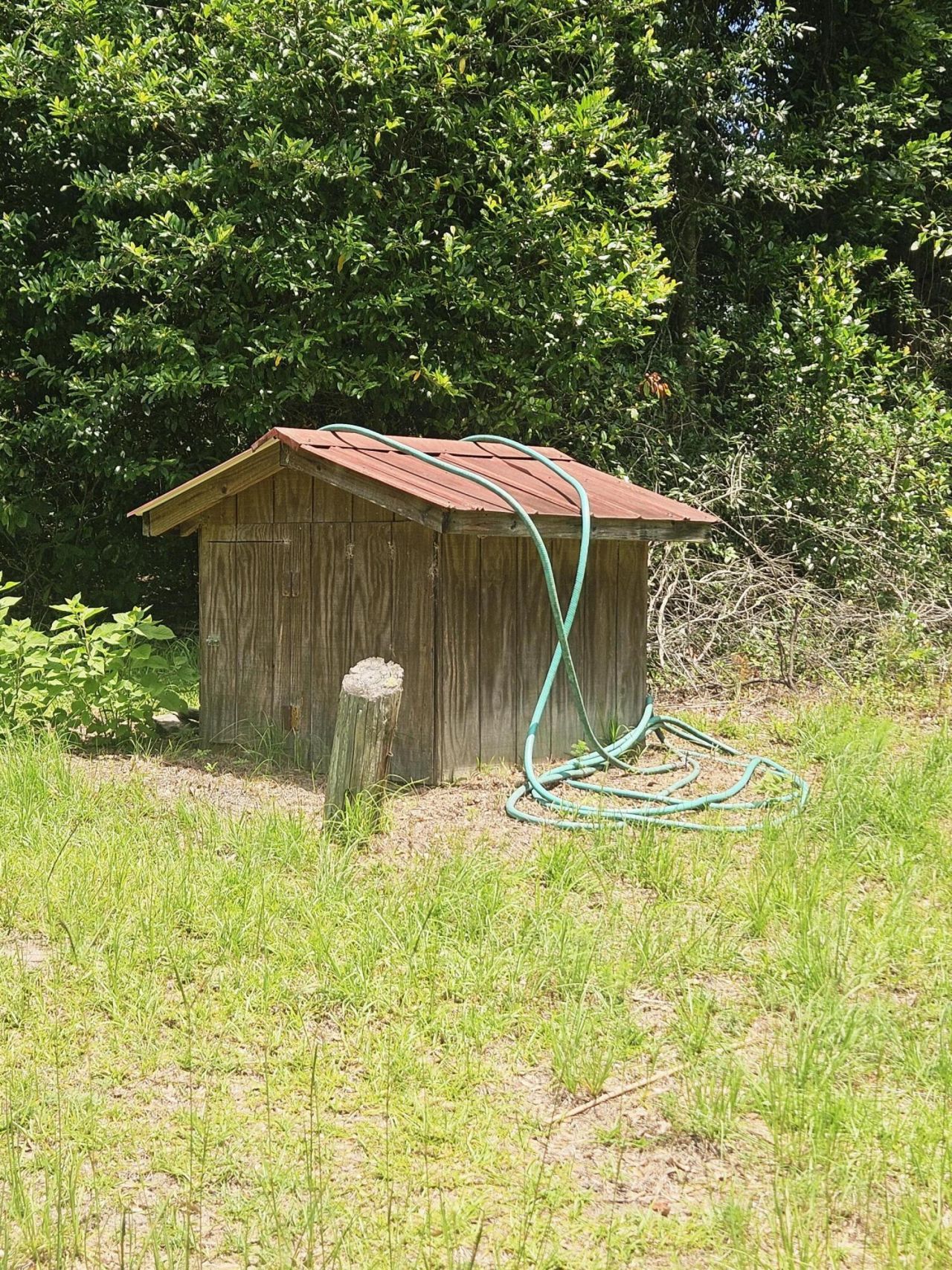 126 Rattlensnake Trail Photo 8