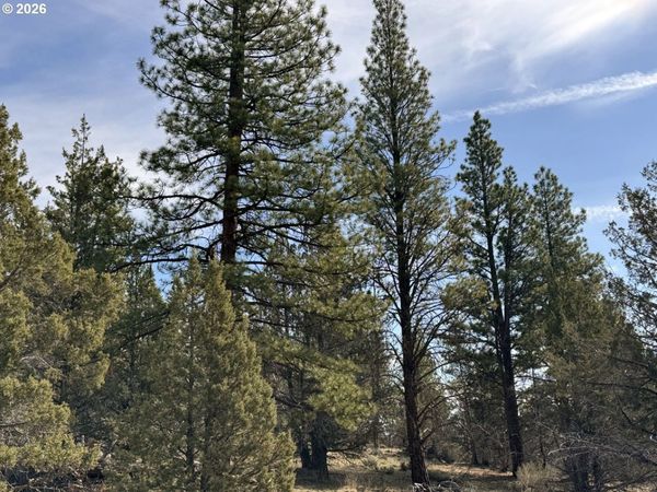 Off HWY 140, Unit 900, Beatty, OR 97621