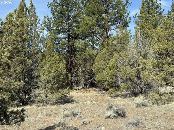 Yellow Jacket Spring RD, Unit 1100, Beatty, OR 97621