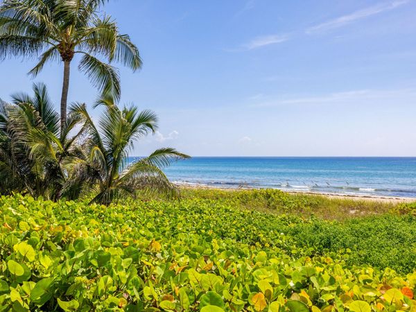 246 NE 14th Street, Delray Beach, FL 33444