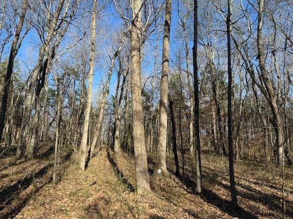 120 S Woods Rd, Mcminnville, TN 37110