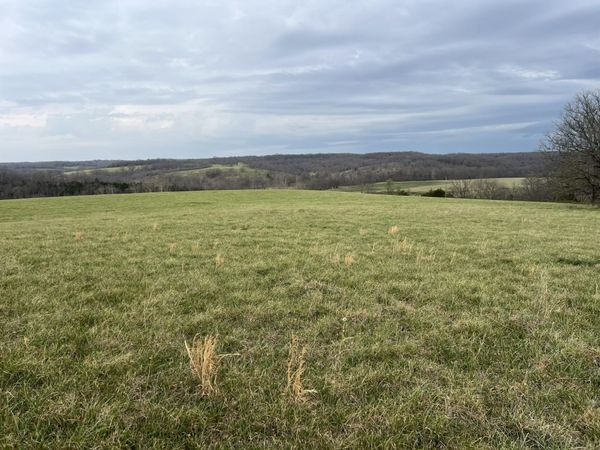 000 Curtner Road, Norwood, MO 65717