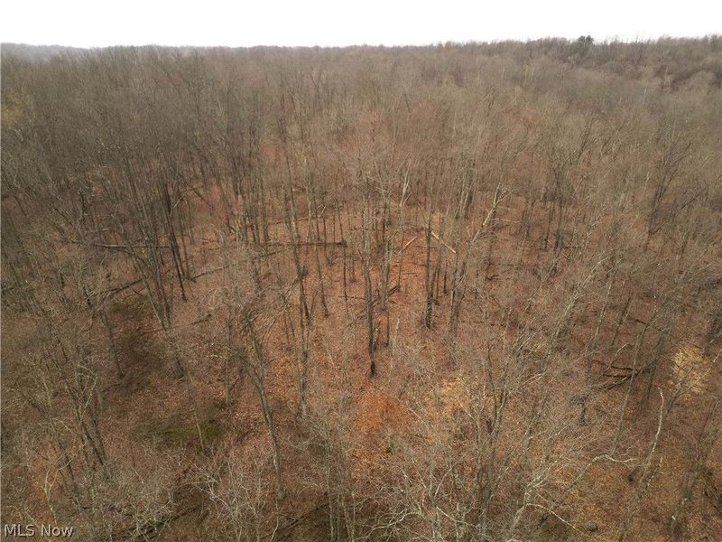 8766 Glenwood Road, Cumberland, OH 43732 Photo 10