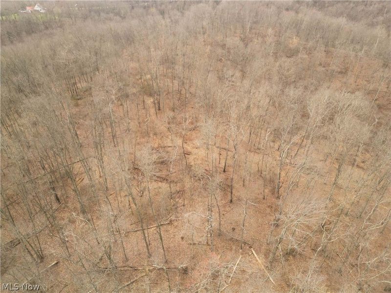 8766 Glenwood Road, Cumberland, OH 43732 Photo 11