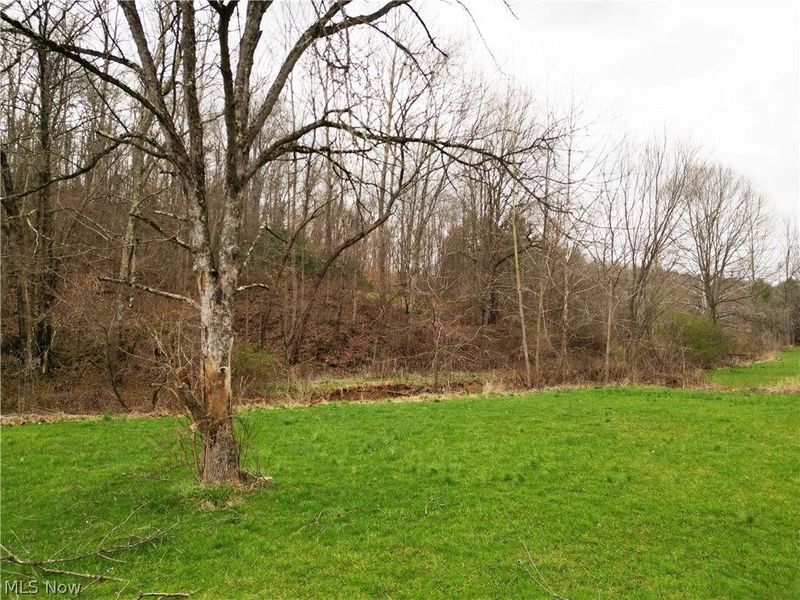 8766 Glenwood Road, Cumberland, OH 43732 Photo 16