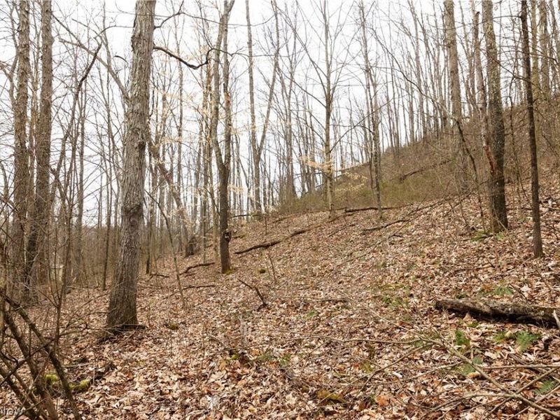 8766 Glenwood Road, Cumberland, OH 43732 Photo 25