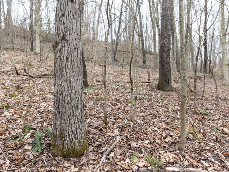 8766 Glenwood Road, Cumberland, OH 43732 Photo 26