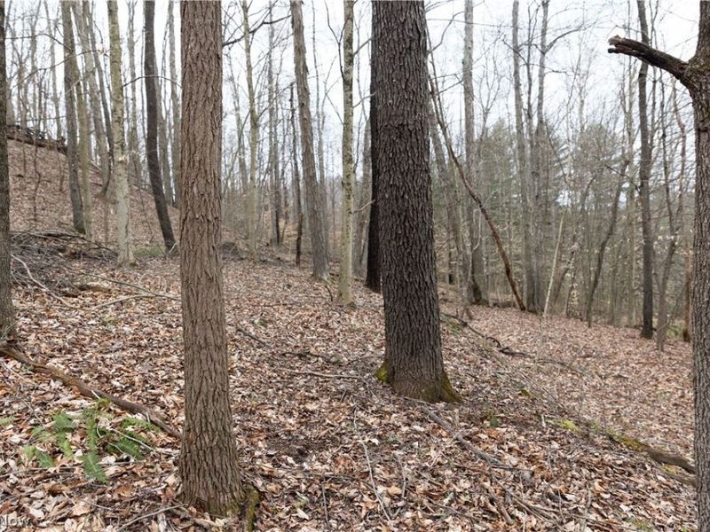 8766 Glenwood Road, Cumberland, OH 43732 Photo 27