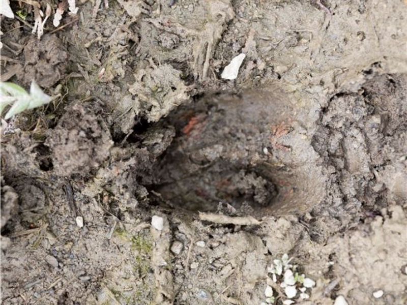 8766 Glenwood Road, Cumberland, OH 43732 Photo 30