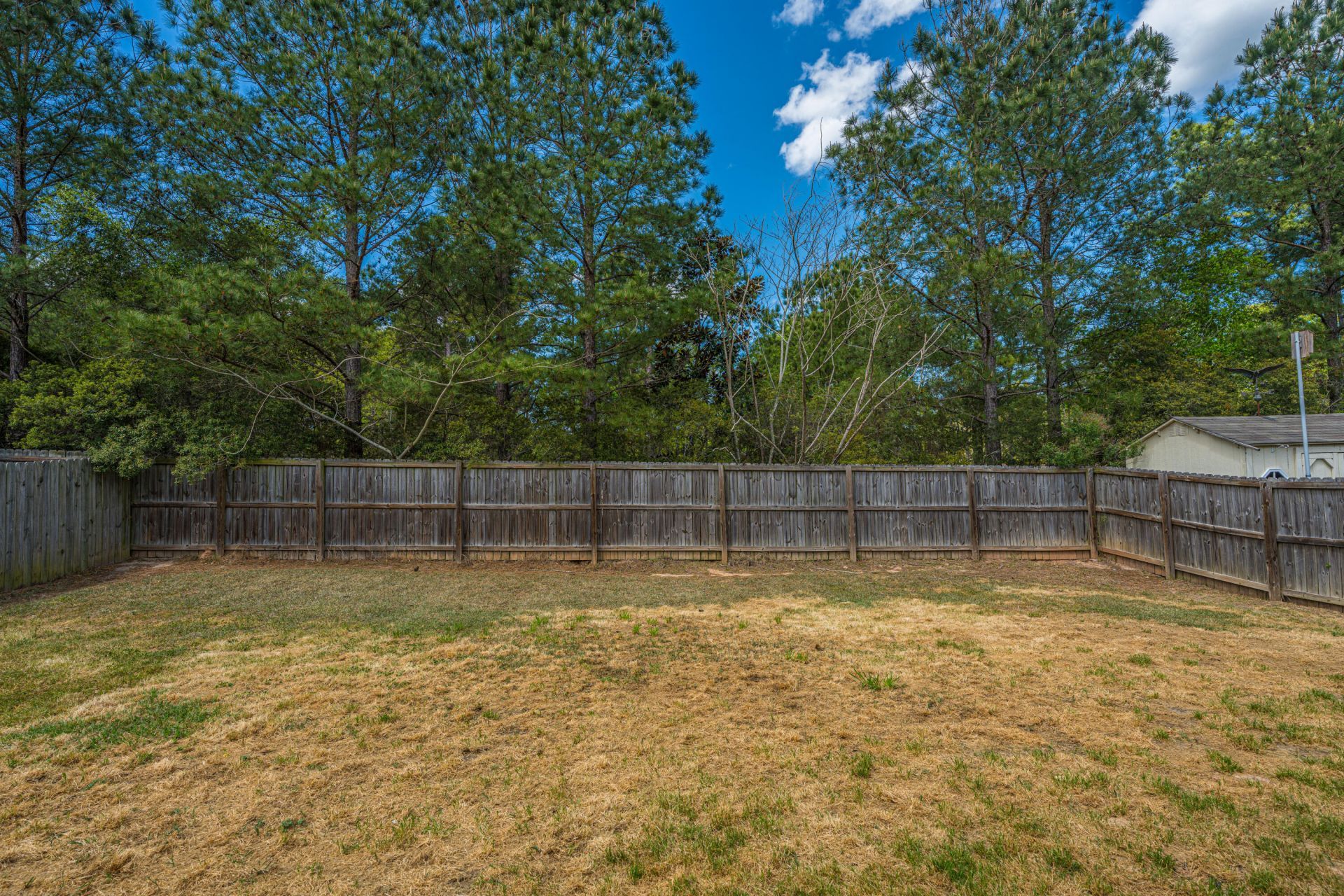 247 Old Carolina Drive Photo 41