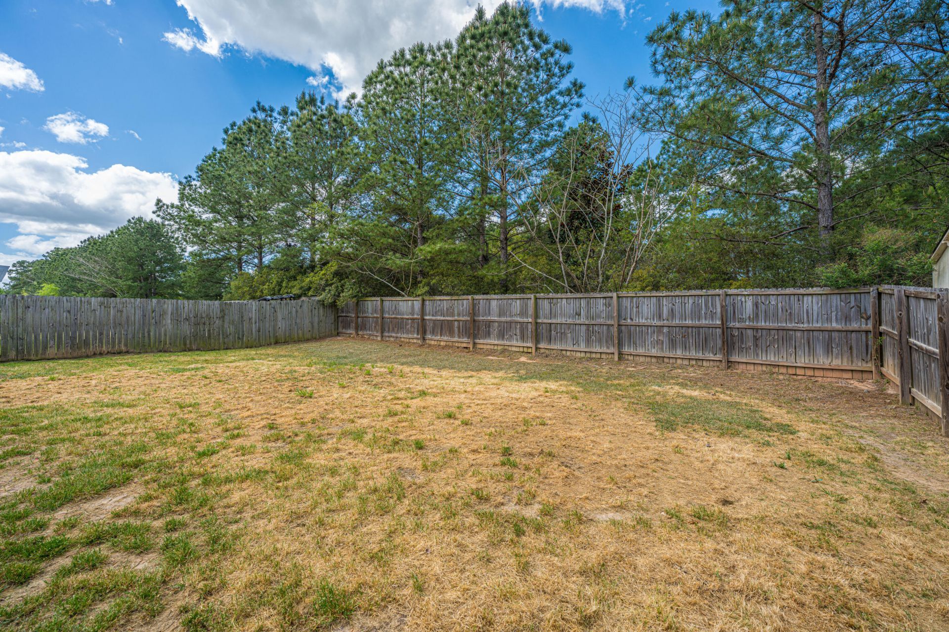 247 Old Carolina Drive Photo 42