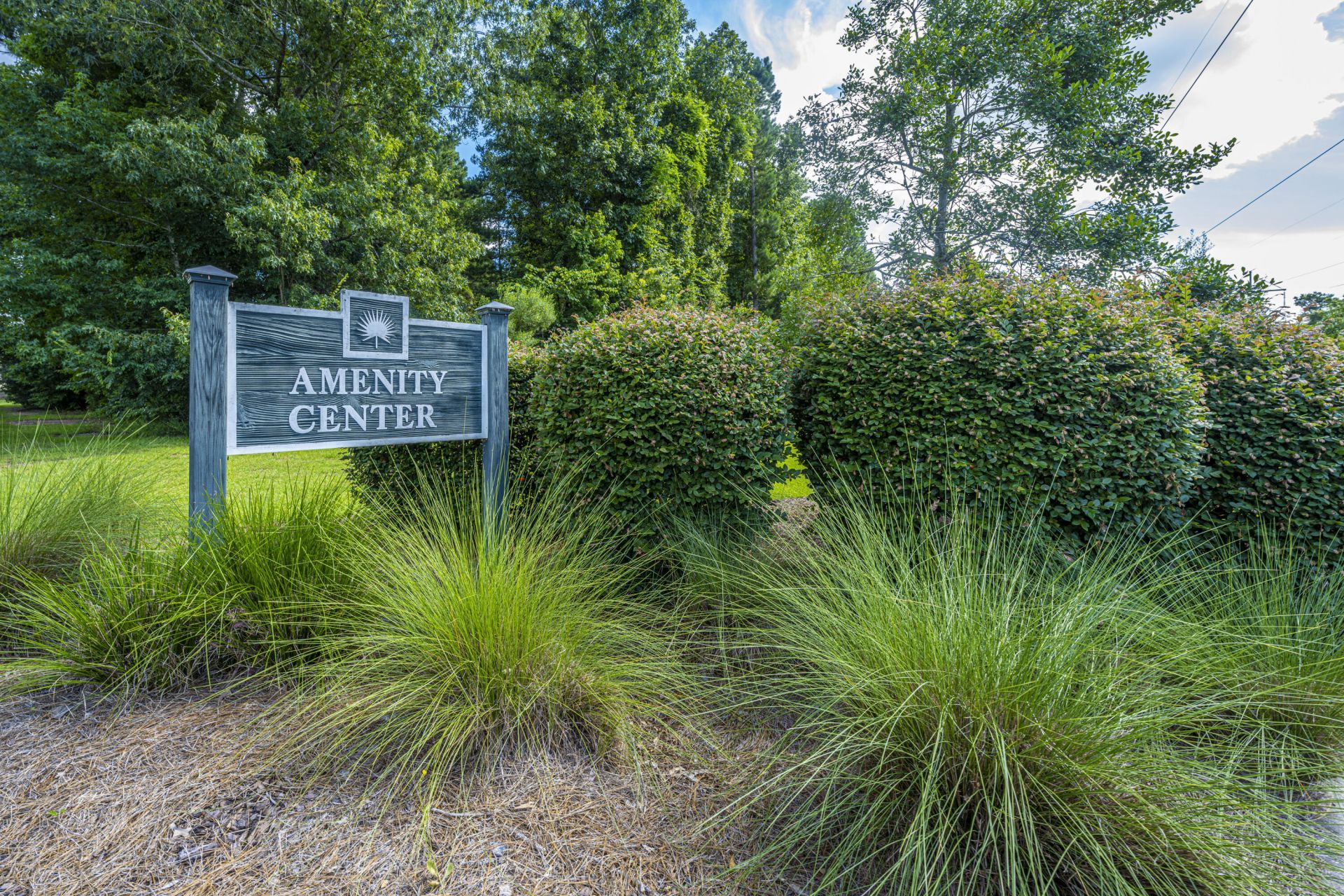 247 Old Carolina Drive Photo 43