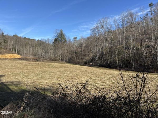 Tract 2 Bull Mountain Road, Del Rio, TN 37727