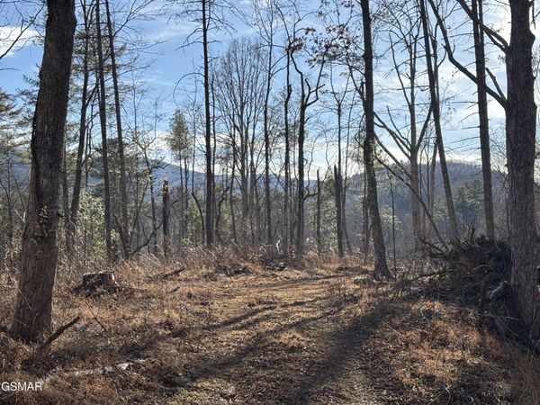 Tract 1 Bull Mountain Road, Del Rio, TN 37727