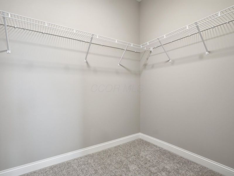 6956 Corsican Loop N, Hilliard, OH 43026 Photo 39