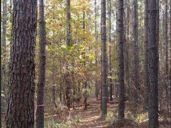 1047 Ponder Trammell Road, Juliette, GA 31046