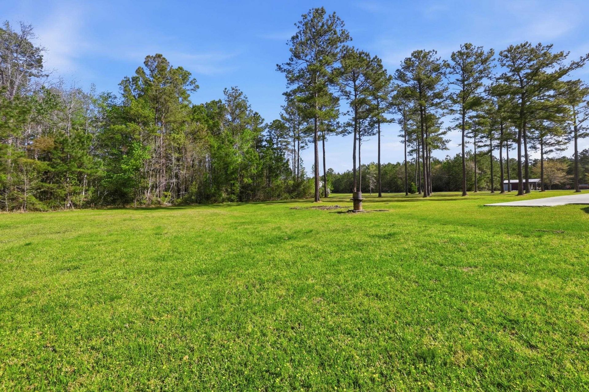 410 Miracle Ct  Photo 35