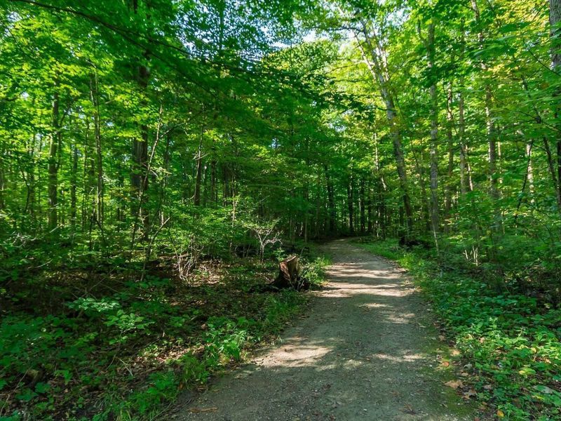 4425 Plymouth Rock Court, Columbus, OH 43230 Photo 61