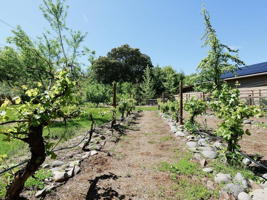 Property Image 106