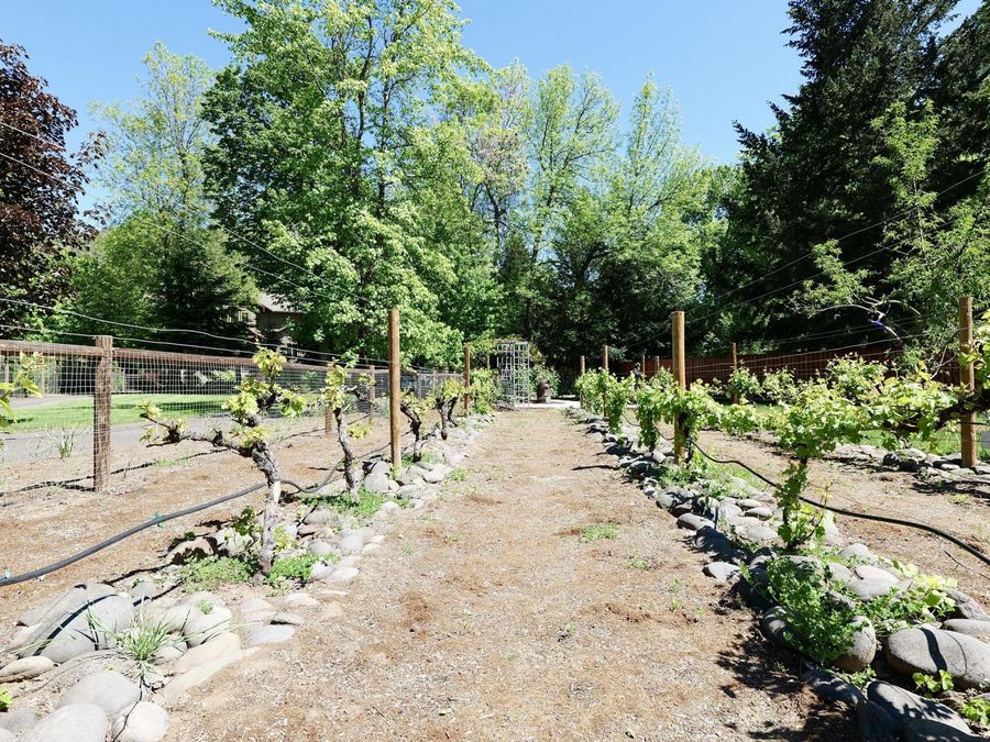 Property Image 108