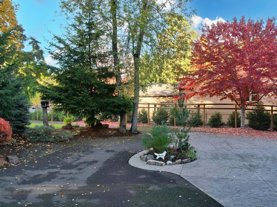 Property Image 119