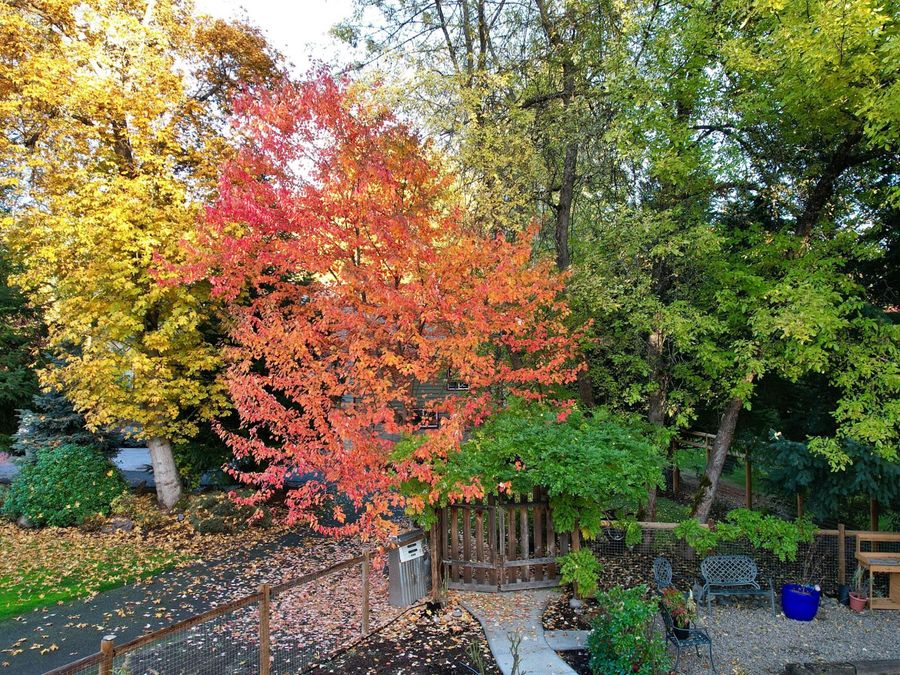 Property Image 121