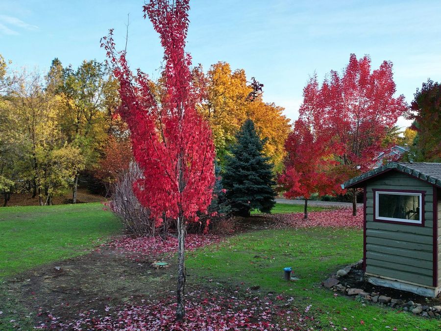 Property Image 128