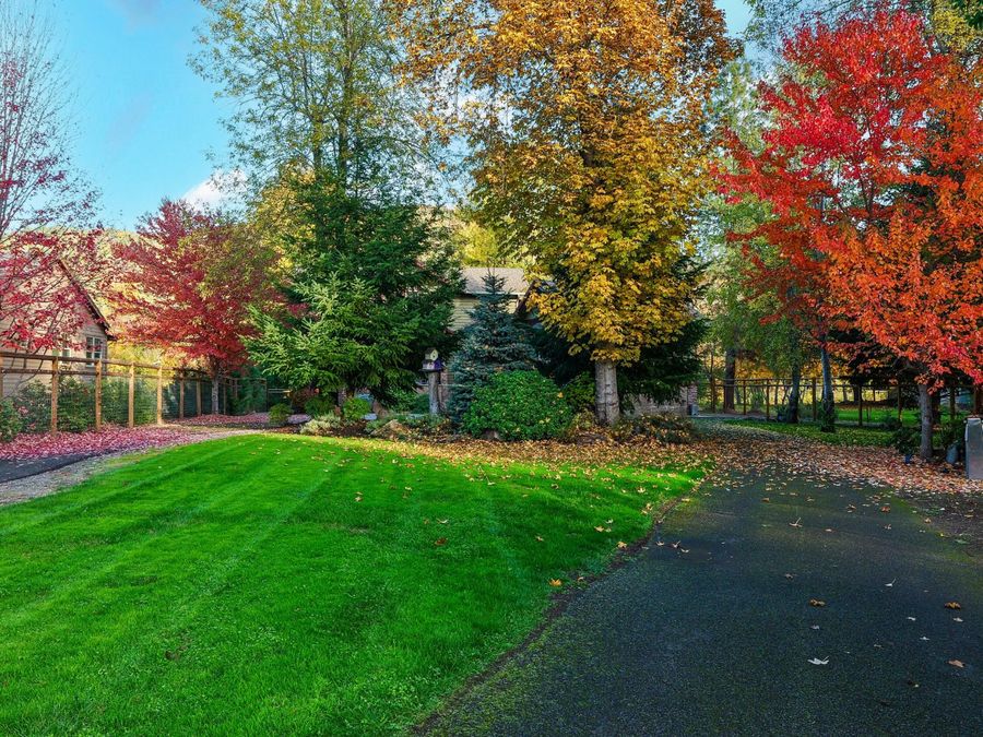 Property Image 142
