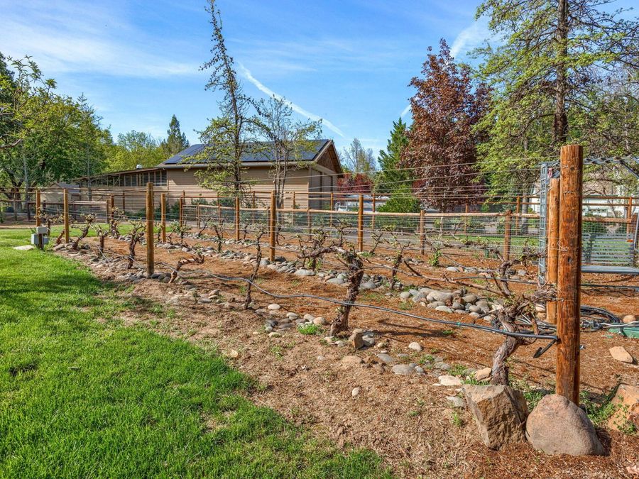 Property Image 66