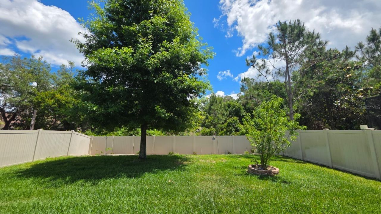 2317 Avellino Avenue, Saint Cloud, FL 34771 Photo