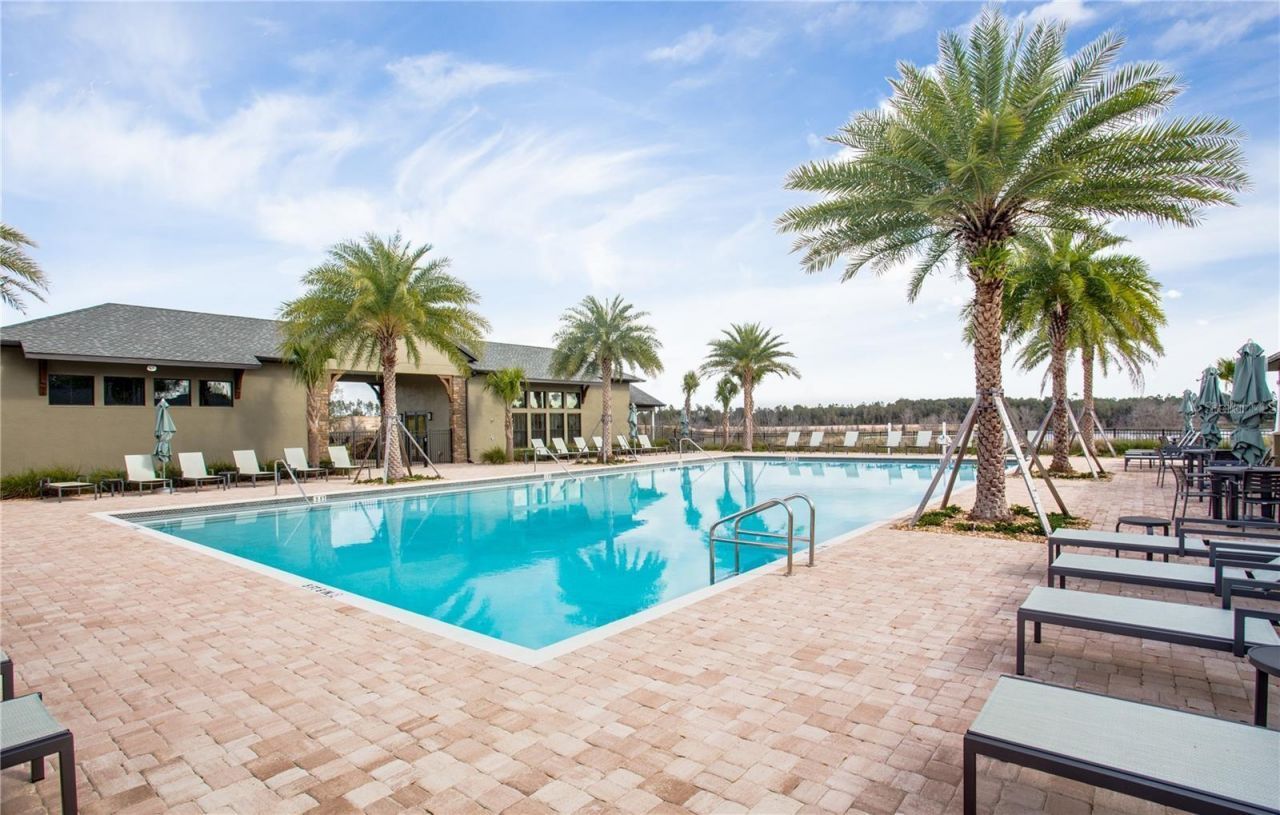 2280 Mountain Pine Street, Ocoee, FL 34761 Photo