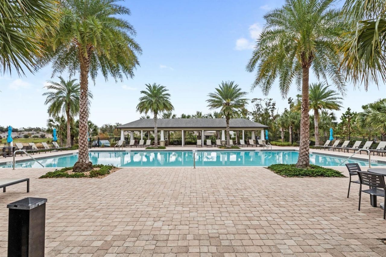 2280 Mountain Pine Street, Ocoee, FL 34761 Photo