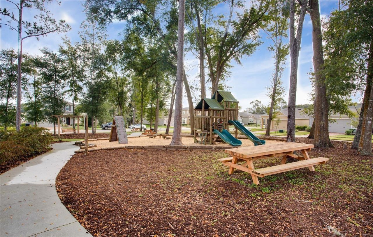 2280 Mountain Pine Street, Ocoee, FL 34761 Photo