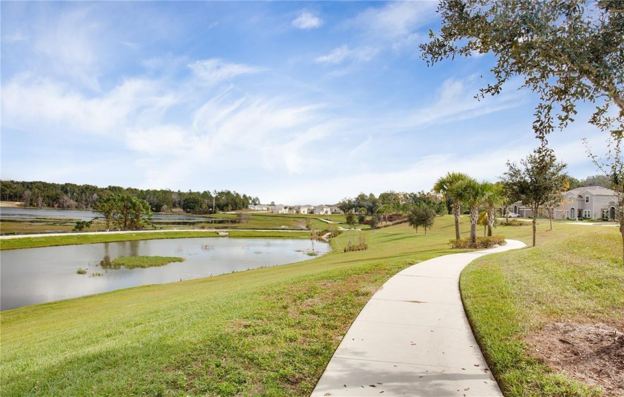 2280 Mountain Pine Street, Ocoee, FL 34761 Photo