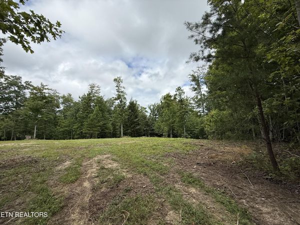 Clifty Creek Rd, Winfield, TN 37892