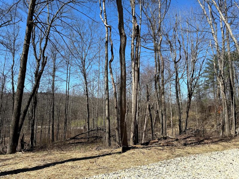 0 Dutch Ridge Road , Unit (Woods Tur, New Lexington, OH 43764 Photo 10