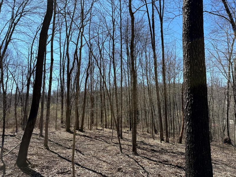 0 Dutch Ridge Road , Unit (Woods Tur, New Lexington, OH 43764 Photo 11