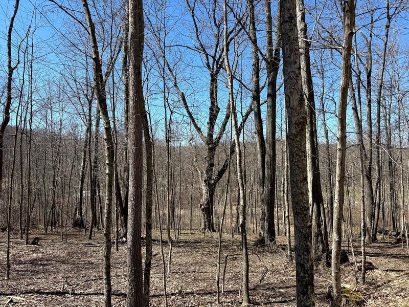 0 Dutch Ridge Road , Unit (Woods Tur, New Lexington, OH 43764 Photo 12