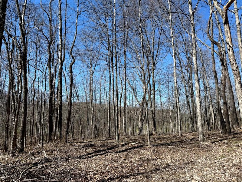 0 Dutch Ridge Road , Unit (Woods Tur, New Lexington, OH 43764 Photo 15