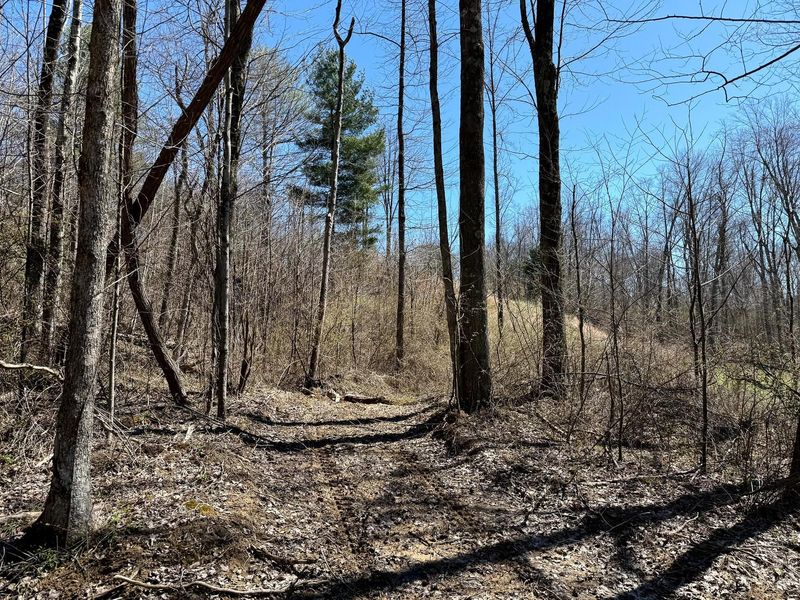 0 Dutch Ridge Road , Unit (Woods Tur, New Lexington, OH 43764 Photo 16