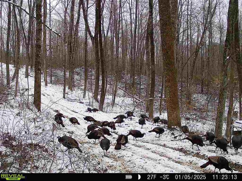 0 Dutch Ridge Road , Unit (Woods Tur, New Lexington, OH 43764 Photo 2