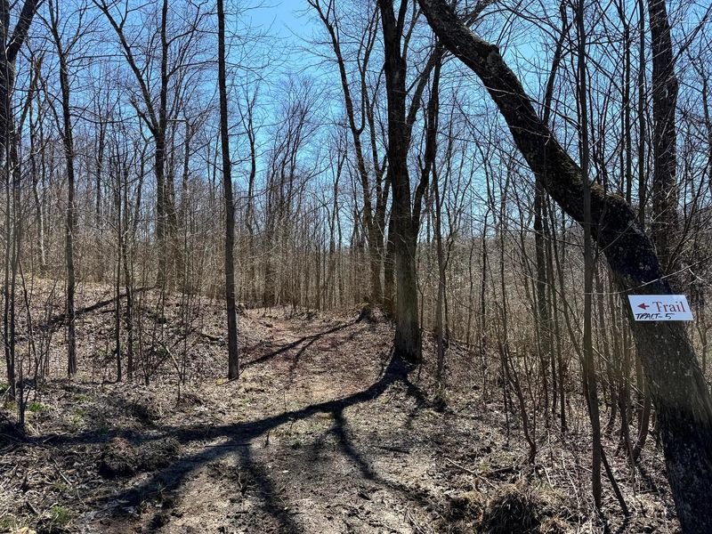 0 Dutch Ridge Road , Unit (Woods Tur, New Lexington, OH 43764 Photo 20