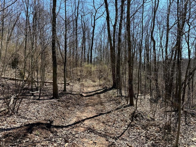 0 Dutch Ridge Road , Unit (Woods Tur, New Lexington, OH 43764 Photo 22