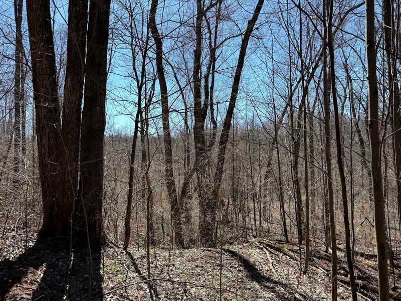 0 Dutch Ridge Road , Unit (Woods Tur, New Lexington, OH 43764 Photo 23