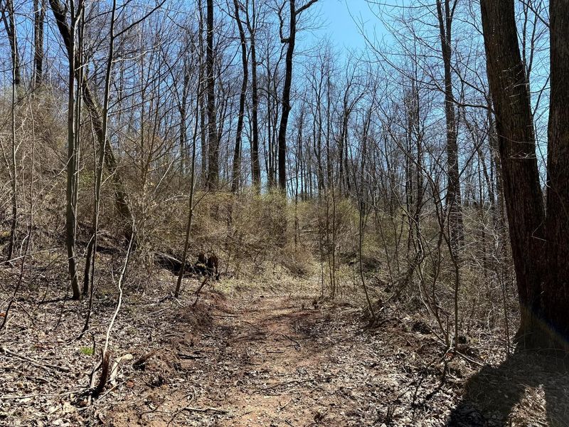 0 Dutch Ridge Road , Unit (Woods Tur, New Lexington, OH 43764 Photo 24