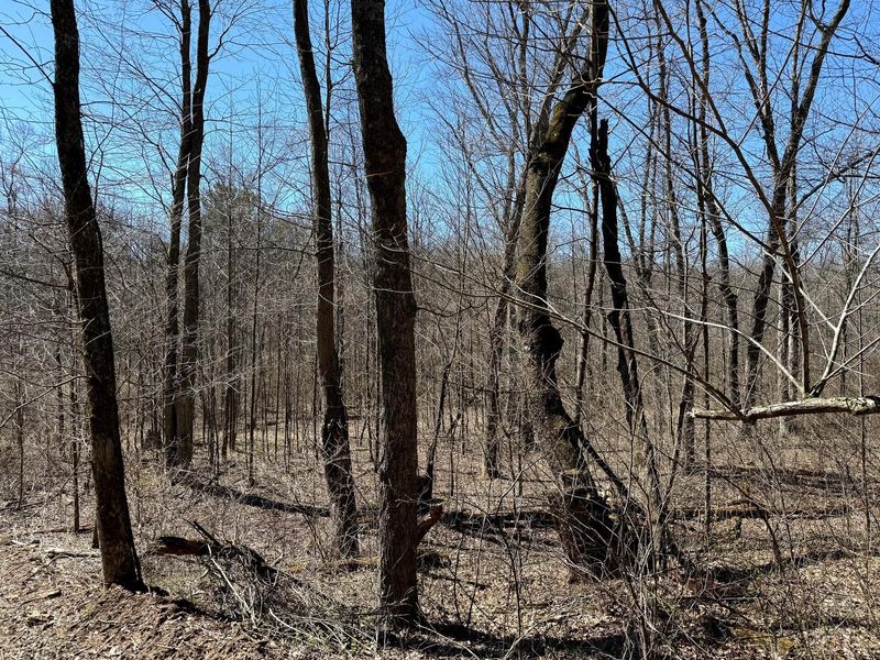 0 Dutch Ridge Road , Unit (Woods Tur, New Lexington, OH 43764 Photo 25