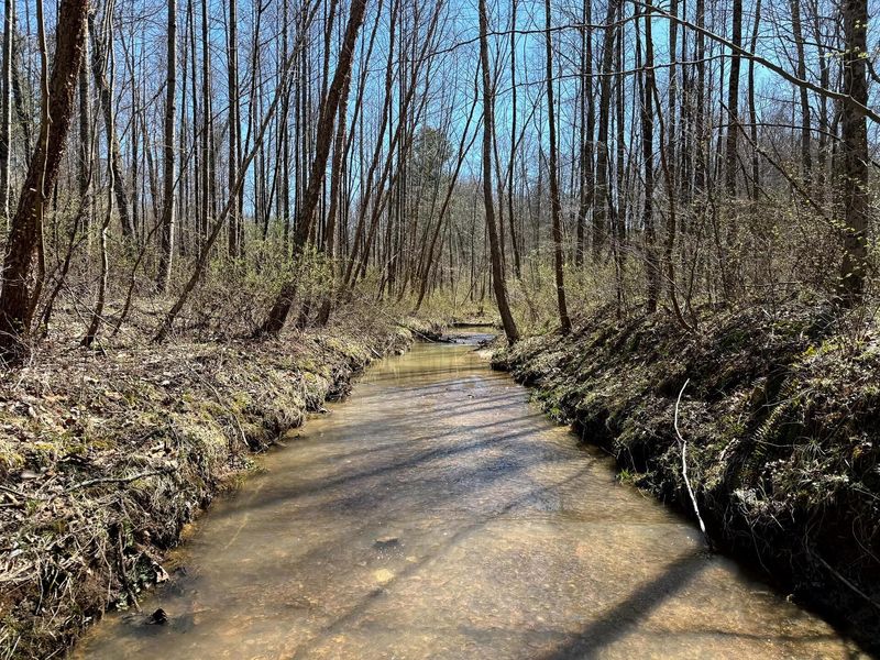 0 Dutch Ridge Road , Unit (Woods Tur, New Lexington, OH 43764 Photo 28