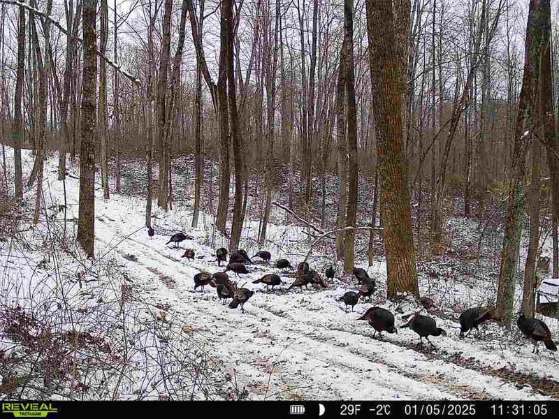 0 Dutch Ridge Road , Unit (Woods Tur, New Lexington, OH 43764 Photo 3