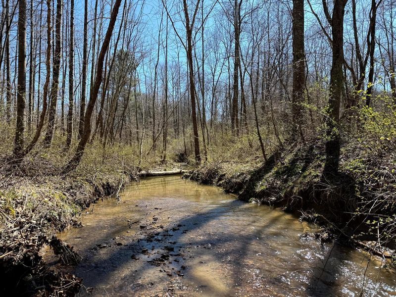 0 Dutch Ridge Road , Unit (Woods Tur, New Lexington, OH 43764 Photo 31